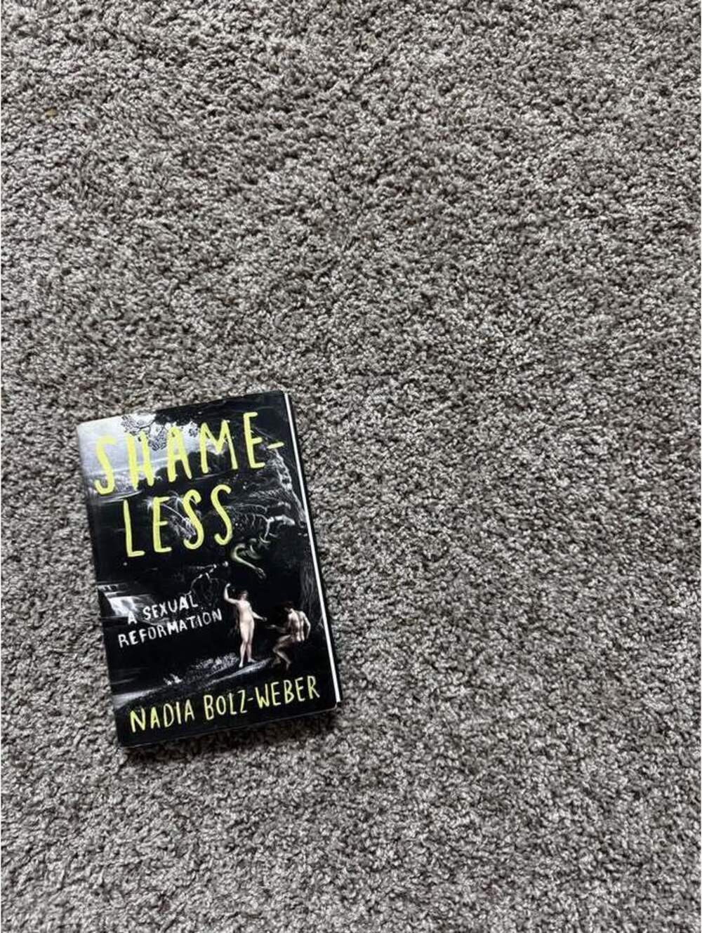 Shame-Less: A Sexual Reformation by Nadia Bolz-Weber Christian